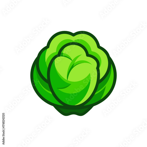 Illustration of a fresh green cabbage head