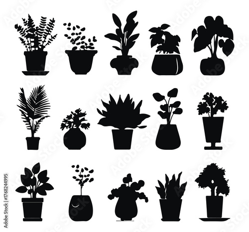 Collection of potted silhouette plants. Various plants in different pots. Indoor plants with various leaves. Potted plants for home decoration. Greenery in pots. Potted plants isolated elements on whi