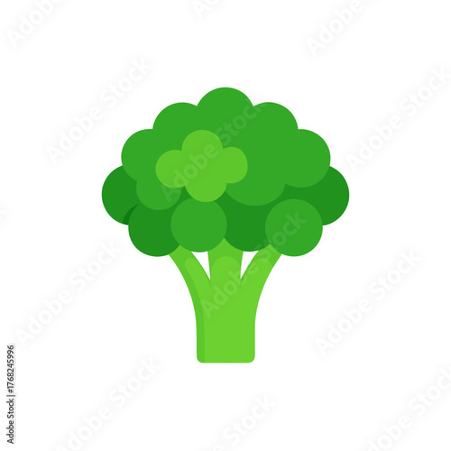 Illustration of a single green broccoli on transparent background