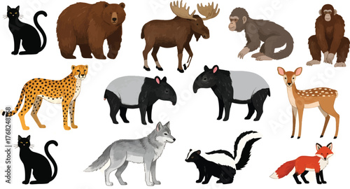 Collection of diverse animal species, showcasing wildlife from around the world