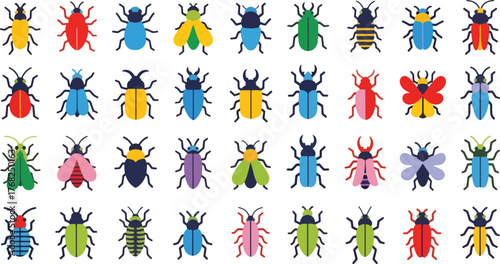 Collection of colorful beetle, showcasing various species and patterns