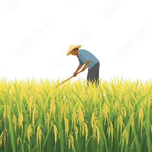 Farmer Harvesting Rice in the Field Illustration
