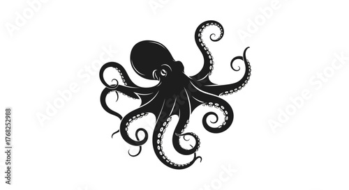 Elegant octopus illustration with intricate tentacle details against a white background, for