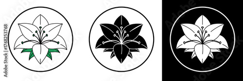 Vector illustration of a lily flower, symbol of purity and peace, displayed in colored, silhouette, and line versions. Perfect for religious themes, logos, or floral design projects.