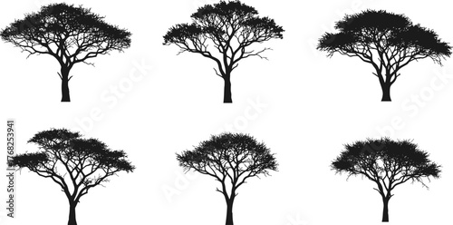 Acacia tree silhouette, African tree shapes, botanical illustration, savanna vegetation, black tree icons, nature design elements, ecology art
