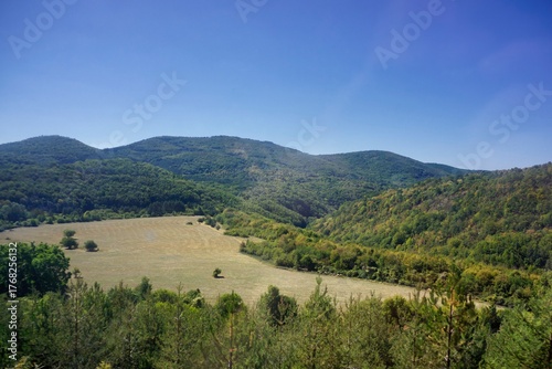 Bulgarian landscape of the alpine meadows, forest in the mountains area