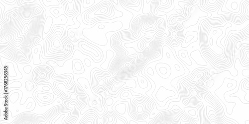 Minimal white line geometric grid outline curve counter map and wavy topography relief discovery area white, black line texture background.	
