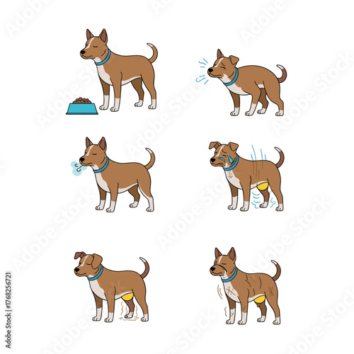 Illustrations depicting various symptoms of a sick dog, including sneezing, panting, pain, swelling, incontinence, and discomfort.