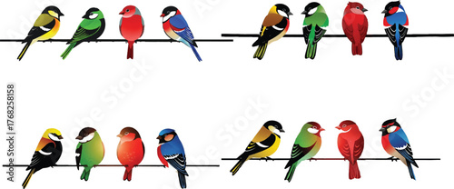 Colorful birds perched on wires perching yellow