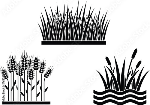 Black and white grass wheat and reeds vector illustration art