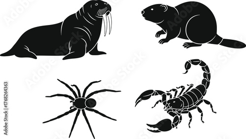 Stock vector image of animals walrus beaver scorpion spider clip art