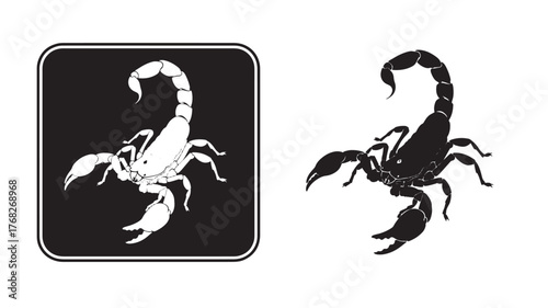 Black scorpion graphic with detailed design and outline on transparent background silhouette