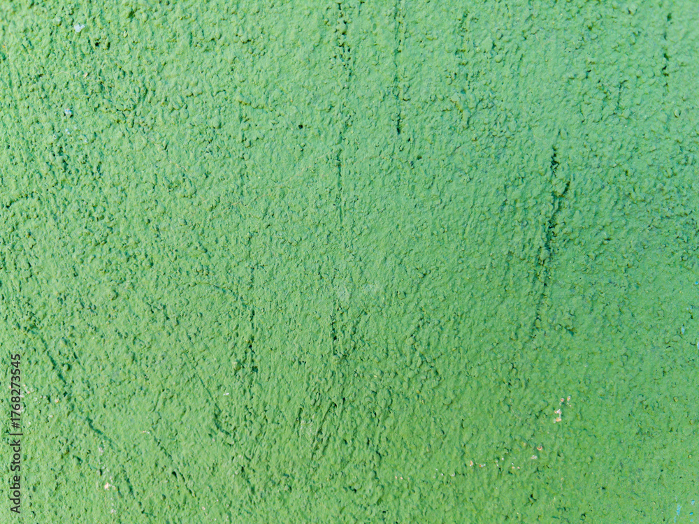Obraz premium Green painted wall texture rough surface background
