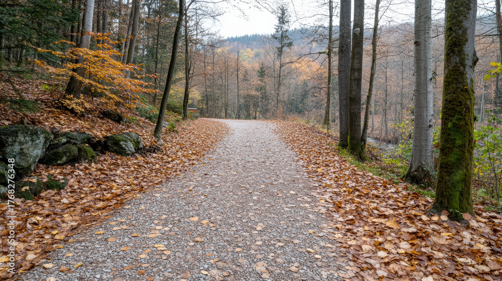 Fototapeta premium Serene forest path lined with autumn leaves, surrounded by trees and tranquil atmosphere