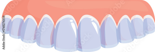 Denture prosthetic showcasing perfect teeth alignment, representing oral hygiene and dental care solutions