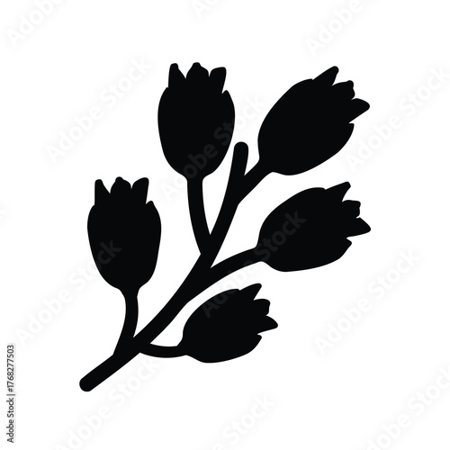 Silhouette of a blooming branch with unopened flowers against a white background