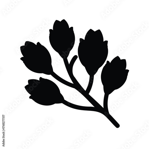 Silhouette of five unopened flower buds on a branch isolated on white