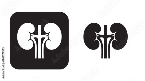 Detailed human kidneys icon illustration with square and isolated version silhouette on transparent background
