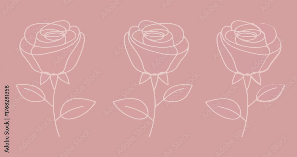 Fototapeta premium Three rose outlines on pink background