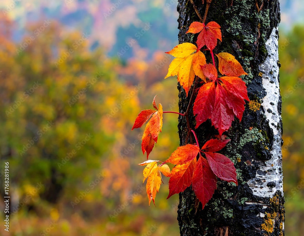 Obraz premium Close-up of autumn leaves on tree bark, blurry vibrant backdrop