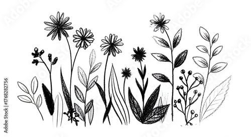 grass and flowers vector
