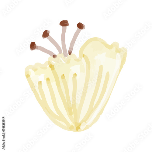 Collection of Breast Cancer Awareness Month Illustrations and Symbols for Support and Health Campaigns. rion pink. tie pink, nipple, leaf, woman, symol watercolor