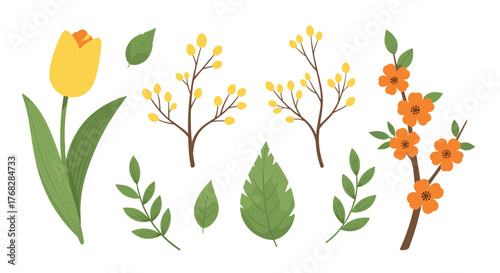 Collection of vibrant spring flowers and green leaves, including a yellow tulip, budding branches, and orange blossoms, on a white background.