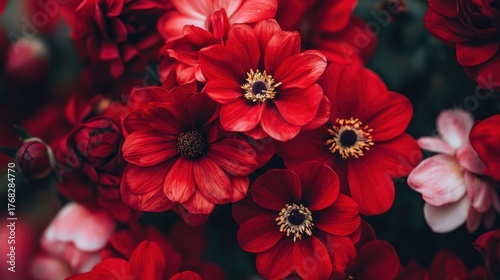 Red and pink flowers with green leaves in a garden setting.