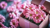 Pink daisies in a gift box with a ribbon.