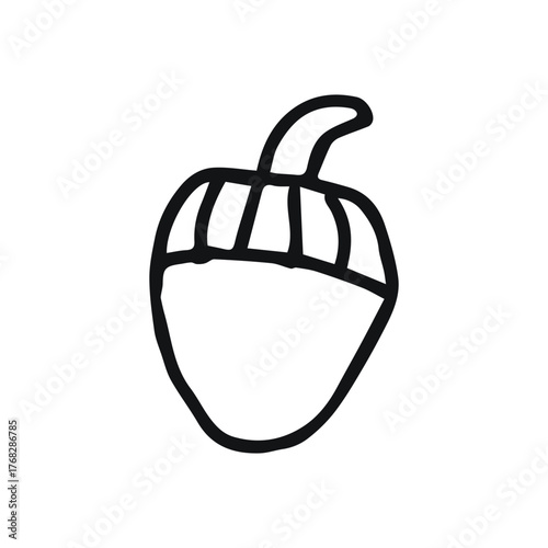 handrawn acorn isolated on white background. natural line collection