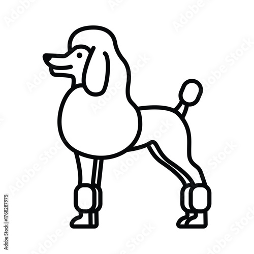 Stylized line drawing of a poodle dog in a show cut