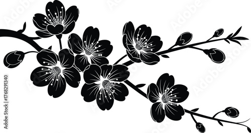 Vector flowering branch silhouette with blossoms and buds, Japanese cherry sakura floral design illustration for spring nature art and decoration