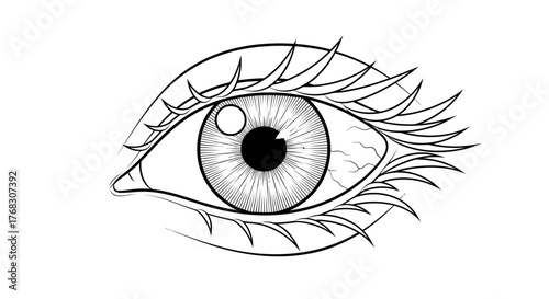 Monochrome depiction of human eye adorned with stylized lashes in linear design