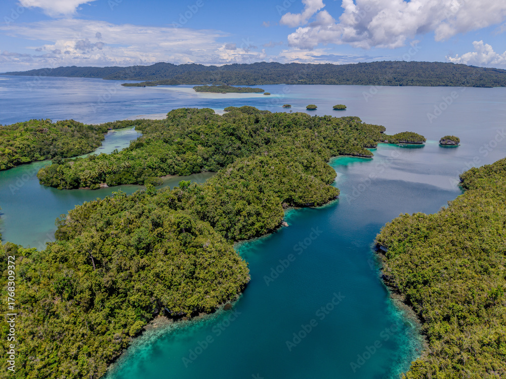 Obraz premium Aerial view of lush tropical mangrove forest and shallow turquoise lagoon in Raja Ampat, Indonesia. 