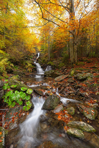 waterfall, autumn, water, nature, landscape, stream, river, forest, cascade, falls, fall, rock, stone, tree, rocks, creek, travel, moss, natural, park, flow, flowing, beautiful, wet, green