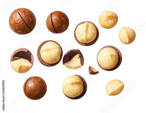 Top-Down View of Assorted Shelled Macadamia Nuts, Scattered Layout, Isolated on Transparent Background