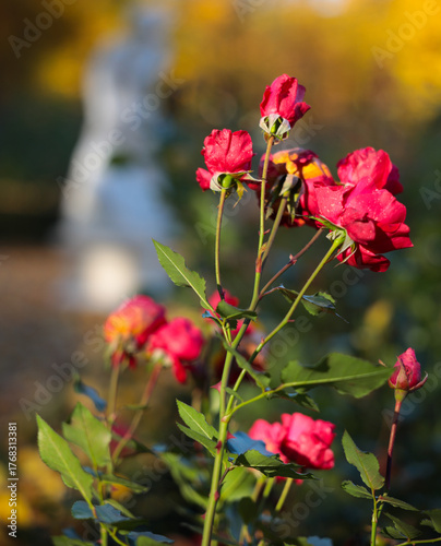 Pałac, Park, Mała Wieś, Poland, mazowieckie , jesień, kolory