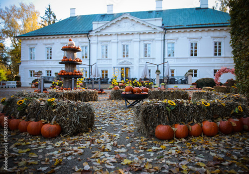 Pałac, Park, Mała Wieś, Poland, mazowieckie , jesień, kolory