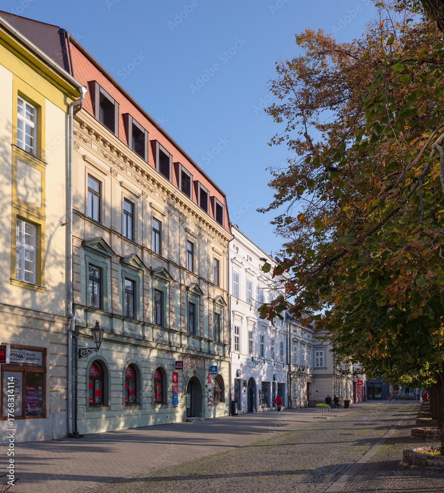Naklejka premium City, architecture, square, Uherské Hradiště, center, history, fountain, church, trees, cathedral