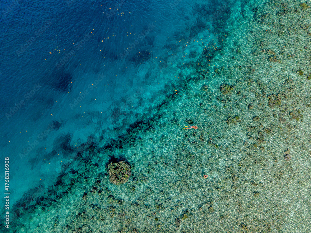 Fototapeta premium Aerial view of vibrant coral reef under clear turquoise water in Raja Ampat, Indonesia. 