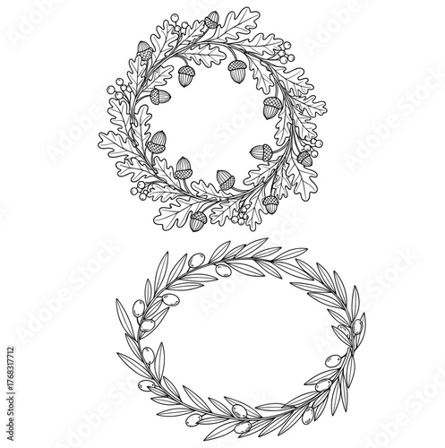 Oak Acorn and Olive Branch Wreaths Vector Set, Hand Drawn Botanical Outline Frames