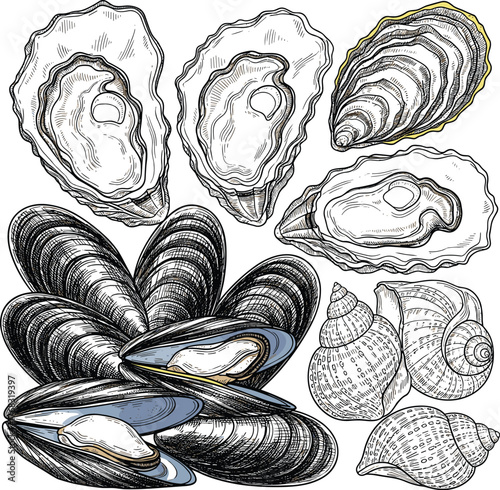 Vintage Engraving Set of Oysters and Mussels Vector, Hand Drawn Black and White Seafood Collection