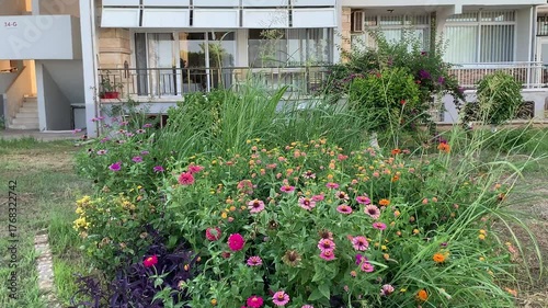 Natural flowers in the front yard that beautify the view from the house windows.