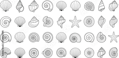 Seashell and starfish vector set, marine elements in black and white, perfect for beach design, nature education, packaging, decor, summer branding