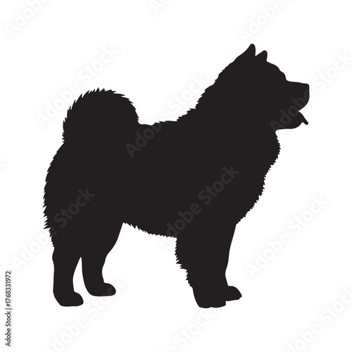 Chow Dog silhouette isolated on white background