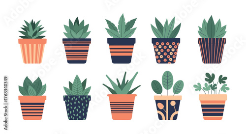 Collection of potted succulent plants with various decorative pots.