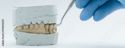 Dental technician working on plaster tooth model