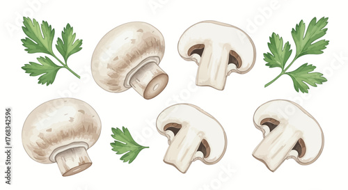 Watercolor Button Mushrooms Vector Set: Fresh Champignon and Parsley Illustration