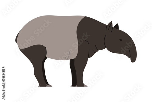 Simple isolated depiction of a Malayan tapir, perfect for wildlife education and conservation themes vector illustration