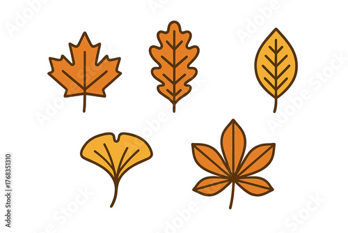 Assortment of colorful autumn leaves including maple, oak, and ginkgo